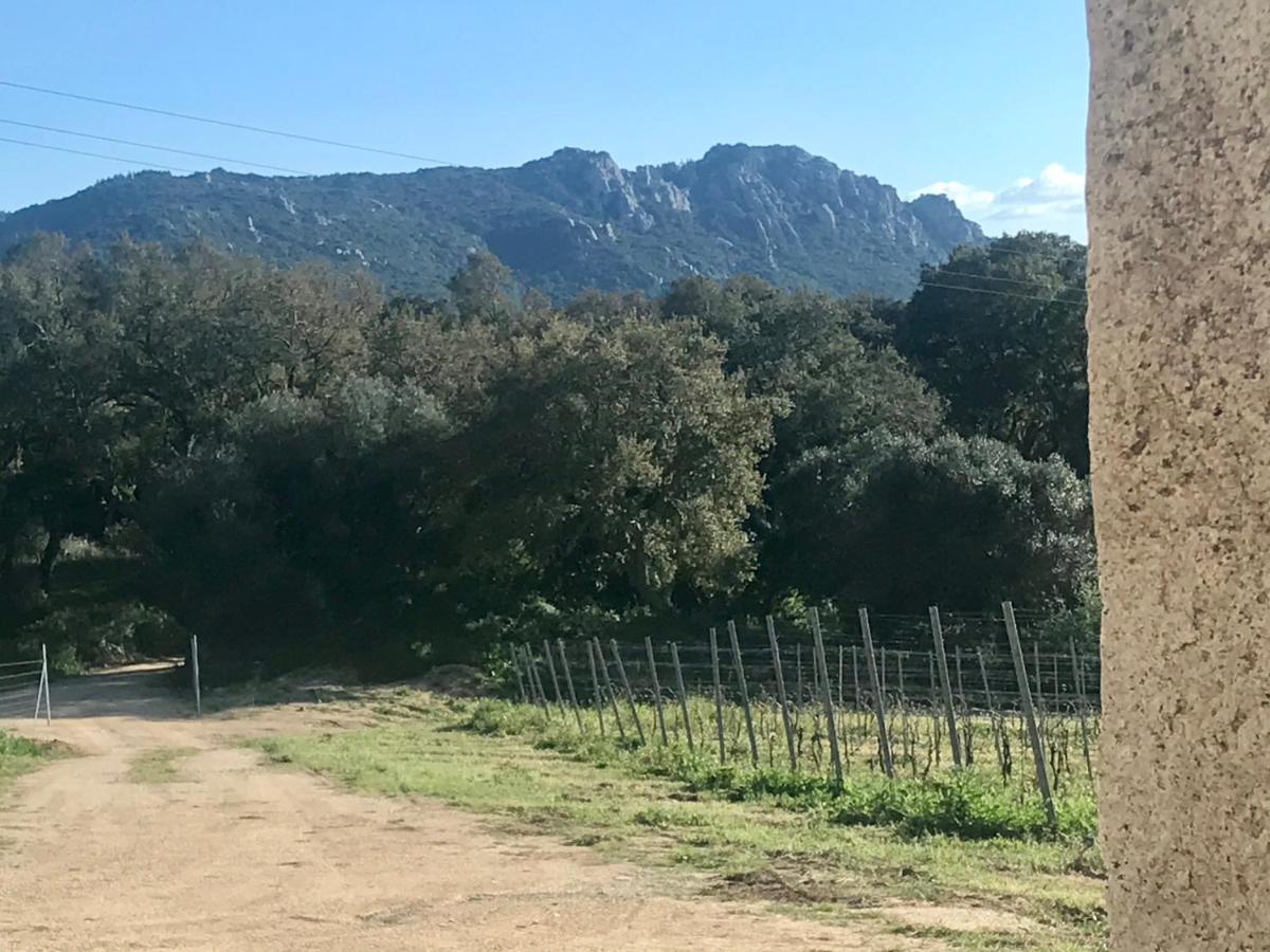 Elegant Country Open Space Deluxe Tenuta Piredu -Monti-Olbia Eksteriør billede