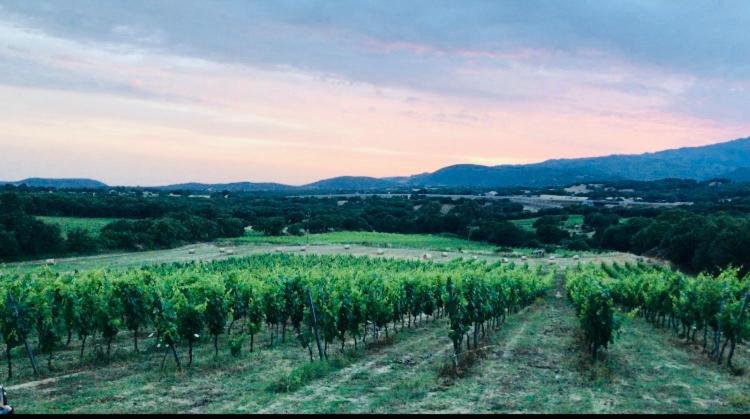 Elegant Country Open Space Deluxe Tenuta Piredu -Monti-Olbia Eksteriør billede