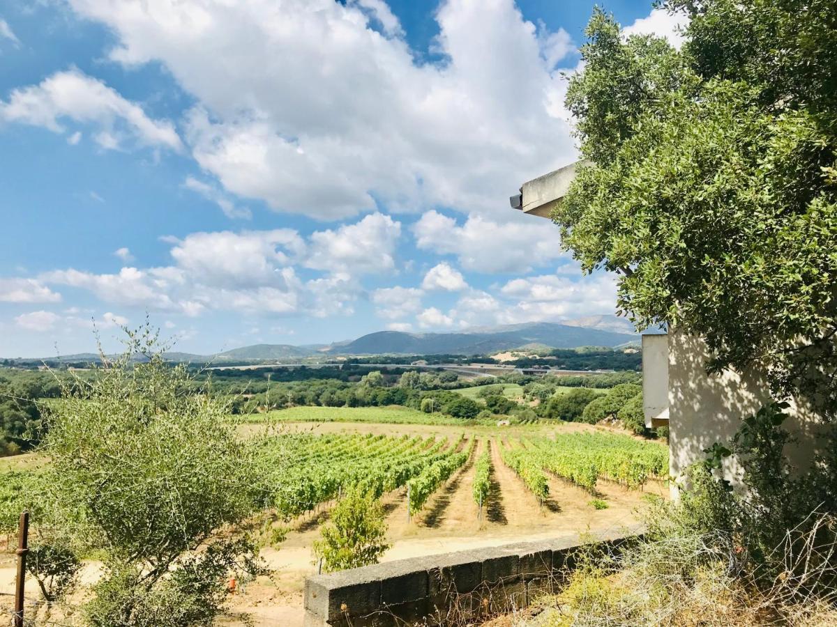 Elegant Country Open Space Deluxe Tenuta Piredu -Monti-Olbia Eksteriør billede